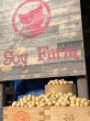 画像2: プラントミルクメーカー ピーレチェ お試し大豆つき！送料サービス (2)