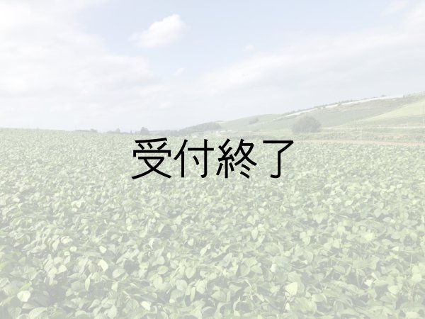画像4: TSUKUMO(北海道士別市産大豆) (4)