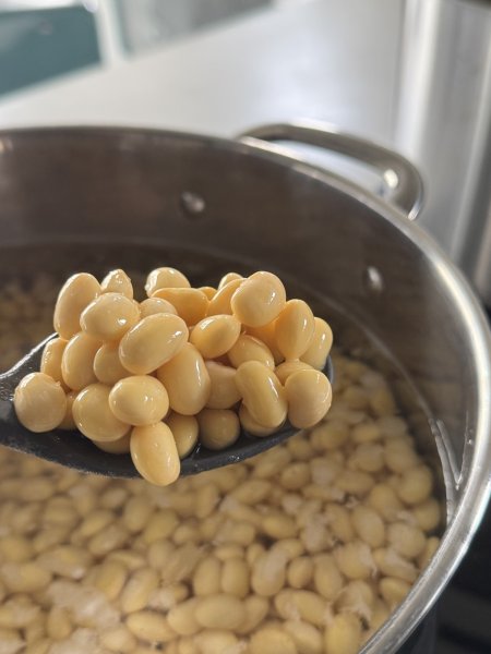 画像2: ＜開催リクエスト受付中＞味噌づくり体験 (2)