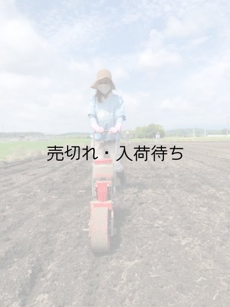 画像3: プラントミルクメーカー ピーレチェ お試し大豆つき！送料サービス (3)